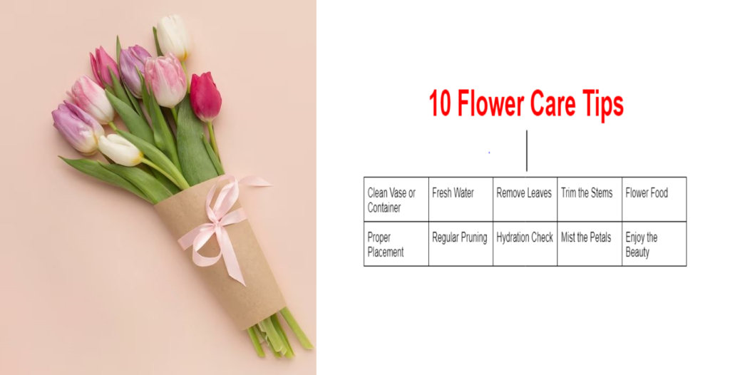 10 Flowers Care Tips