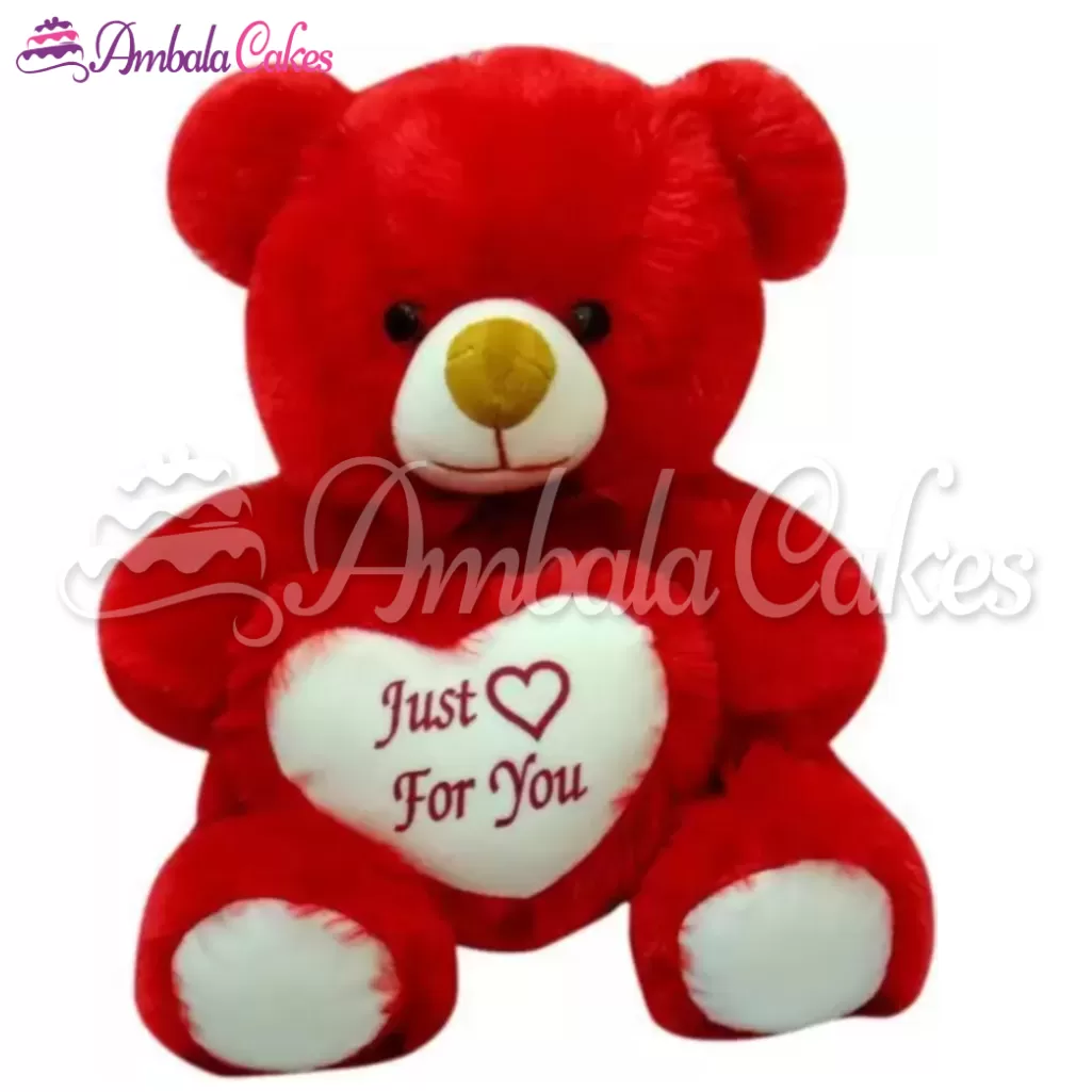 Teddy red colour discount