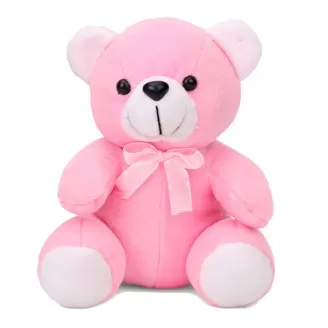 24 Inch Pink Colour Teddy Bear