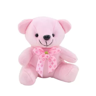6 Inch Pink Colour Teddy Bear
