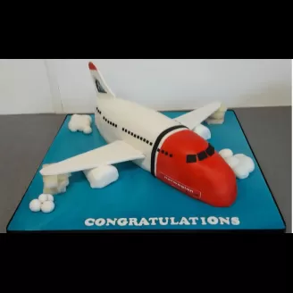 Kids Special Aeroplane Cake