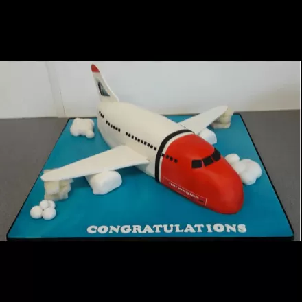 Kids Special Aeroplane Cake